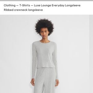 Aritiza Babaton gray everyday long sleeve